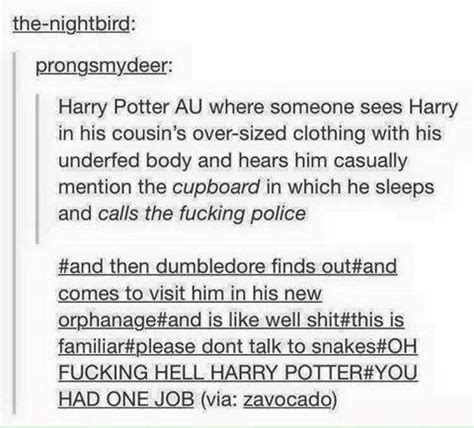 Pin By Sarah Lester On Harry Potter Harry Potter Funny Harry Potter Feels Gay Harry Potter