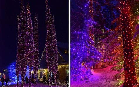 The Best Christmas Light Displays in Every State