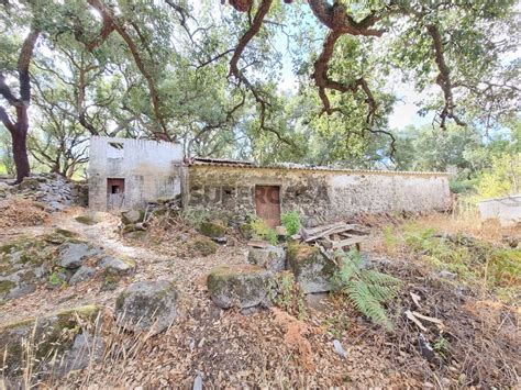 Quintas E Casas R Sticas Quinta T Venda Em Monchique Supercasa