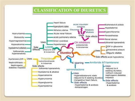 Diuretics And Ca Inhibitors Ppt