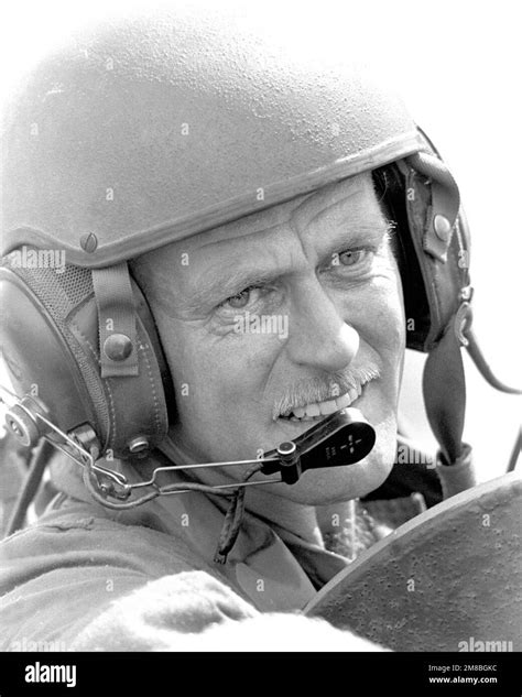 A turret-gunner of the 2nd Light Armored Infantry Battalion in a ...