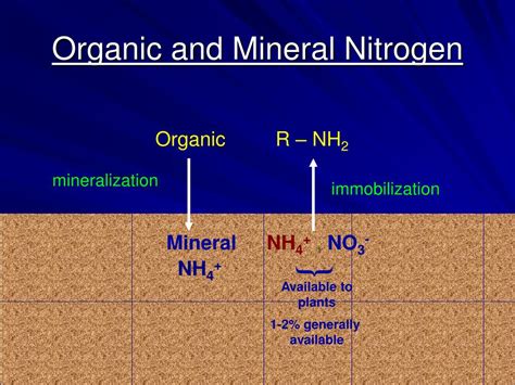 Ppt Nitrogen Powerpoint Presentation Free Download Id6039475