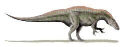 Acrocanthosaurus | Fossil Wiki | Fandom