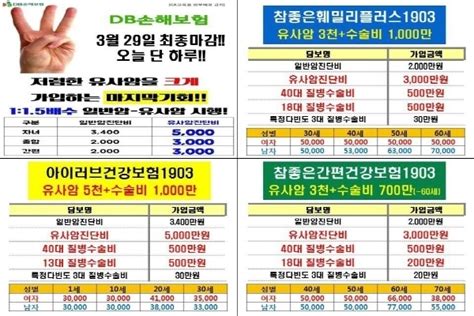 Db손보 유사암 진단비 5000만원 ‘단 하루 절판마케팅