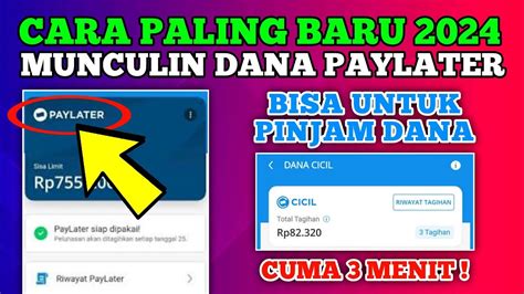 CARA TERBARU Aktifkan DANA Paylater Langsung Muncul Cara Pinjam