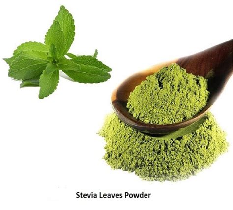 Stevia Leaves Powder At Rs 200kg Stevia Powder In Sojat Id