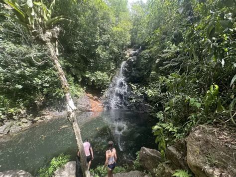 Best Hikes and Trails in Cockscomb Basin Wildlife Sanctuary | AllTrails