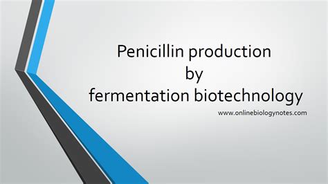 Penicillin Production Commercially By Fermentation Biotechnology Online Biology Notes