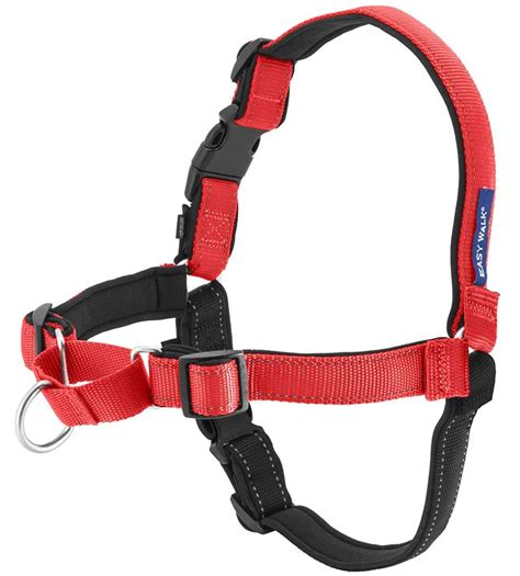 Complete "Easy Walk" Harness Review | Therapy Pet