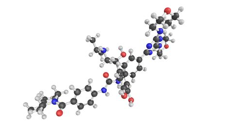 Study Examines How MTOR Complexes Control Energy Metabolism – ASPPH