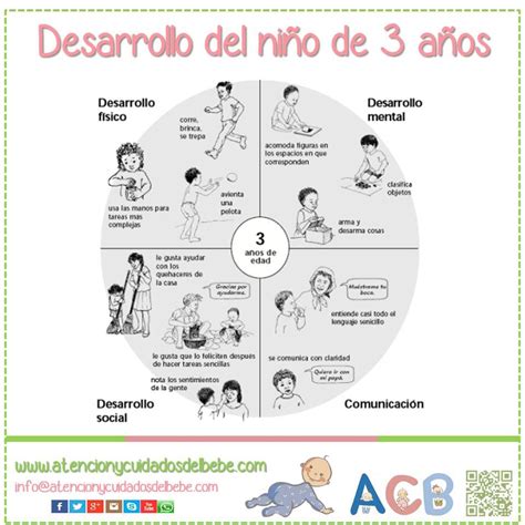 50 Etapas Del Desarrollo Cognitivo Del Niño De 0 A 6 Años