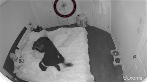 I Caught Paranormal Activity On Camera While Recording Myself Sleeping