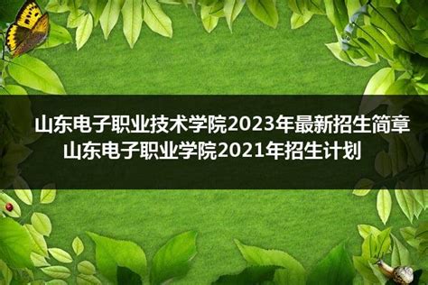 山东电子职业技术学院2024年最新招生简章 山东电子职业学院2021年招生计划山东职校招生网