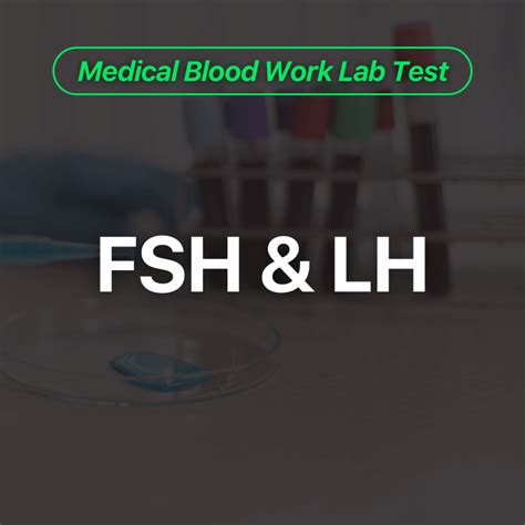 Fsh Lh Blood Work Lab Test Wittmer Rejuvenation Clinic