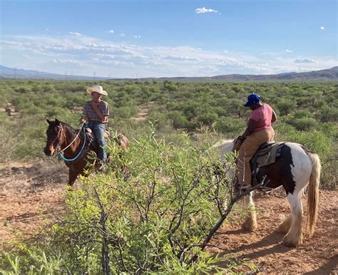 Double R Guest Ranch Benson Az Tarifs 2024