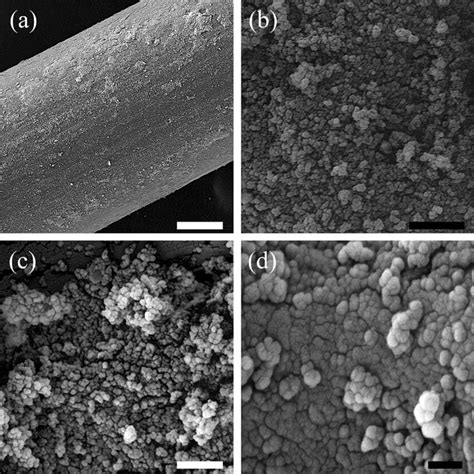 fe sem images    coated pa fiber  stamped fiber surfaces