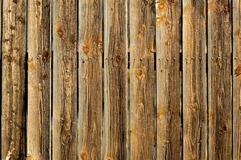 Premium Photo Natural Wood Textured Wallpaper Wood Background Wall