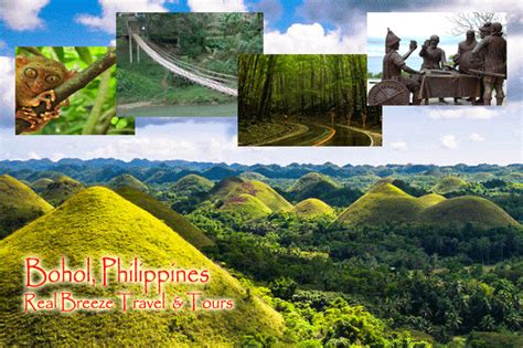 Cebu Bohol Tour Packages | Moalboal, Oslob, Malapascua | Philippines