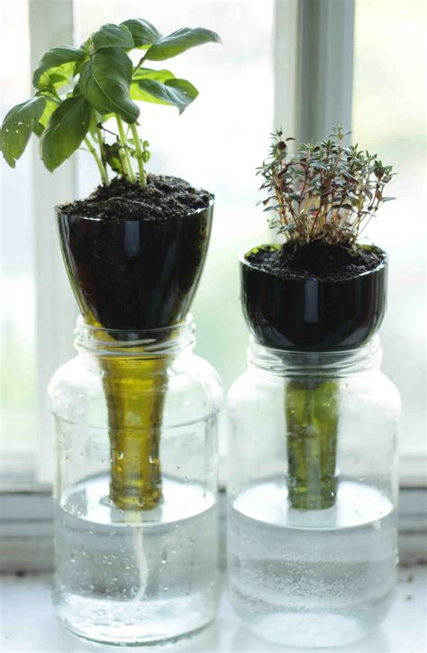 Little Projectiles: Self-Watering Glass Planters