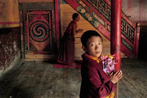 Steve Mccurry Young Monk With Flowers Larung Gar Kham Tibet For Sale At 1stdibs