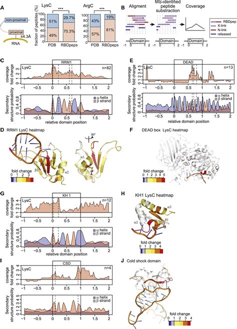 Comprehensive Identification Of Rna Binding Domains In Human Cells