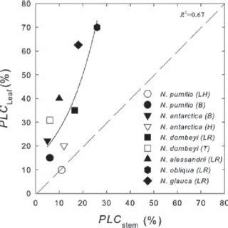 Relationship Between Leaf Hydraulic Conductivity And Specific Hydraulic