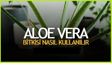 Aloe Vera Yüze Nasıl Uygulanır Yatmadan Önce Yüze Aloe Vera Sürmek