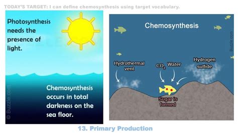 13d Chemosynthesis Ppt Download