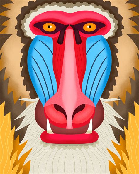 Baboon Head on Behance