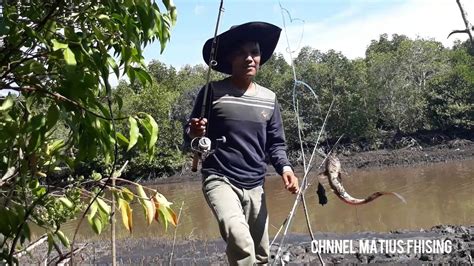 Keseruan Tarikan Ikan Sembilang Youtube