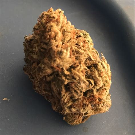 Sour Kush Strain Info