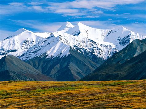 denali national park hd wallpaper