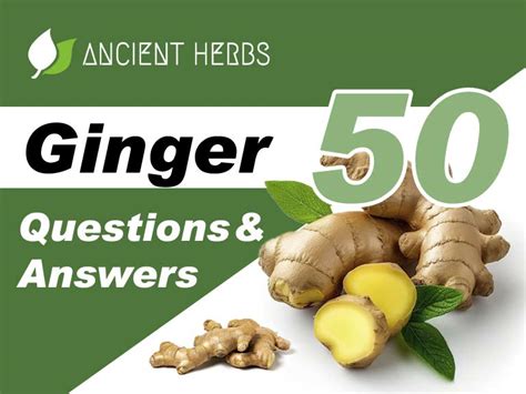 Comprehensive Ginger Guide 50 Questions And Answers