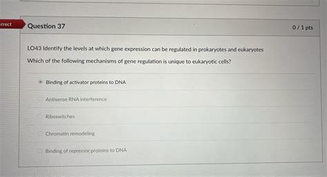LO38 Explain the function of UTRS in the mRNA | Chegg.com 
