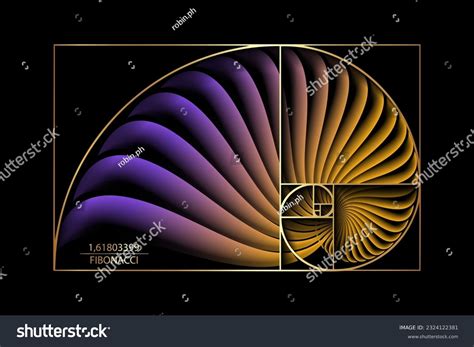 Fibonacci Sequence In Nature Wallpaper