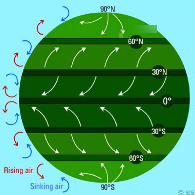 Global Wind Diagram Diagram | Quizlet