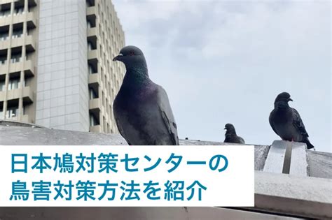 スズメの被害にお困りの方！対策・駆除について鳥害対策のプロが徹底解説！ 鳥害対策なら日本鳩対策センター