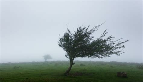 BUKA Magazin Stiglo upozorenje meteorologa Upaljen narandžasti alarm