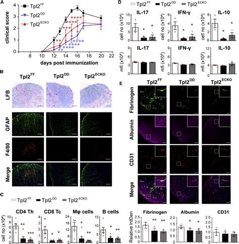 Endothelial Tpl2 Regulates Vascular Barrier Function Via Jnk Mediated