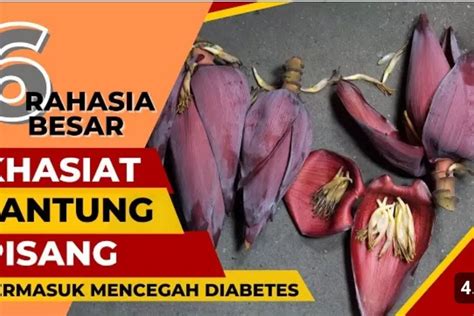 Mengungkap 6 Rahasia Besar Jantung Pisang Manfaat Luar Biasa Untuk