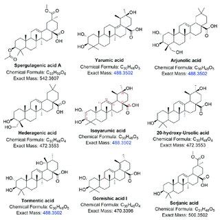 Pdf Pentacyclic Triterpene Profile And Its Biosynthetic Pathway In