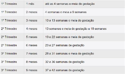 Como Calcular Semanas Em Meses De Gravidez🕕 Descubra As Emoções Do