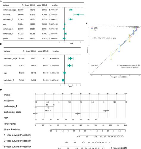 The Nomogram Based On The 6 Metabolic Genes For Predicting The 1 Year