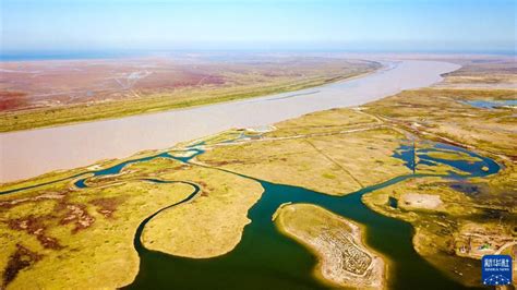 Shandong La Beauté Des Terres Humides Du Delta Du Fleuve Jaunela