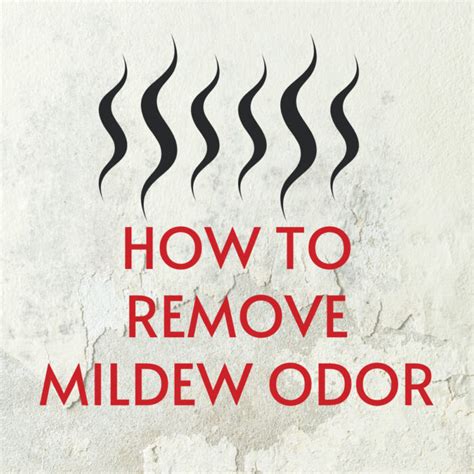 How To Remove Mildew Smell Reynolds Restoration