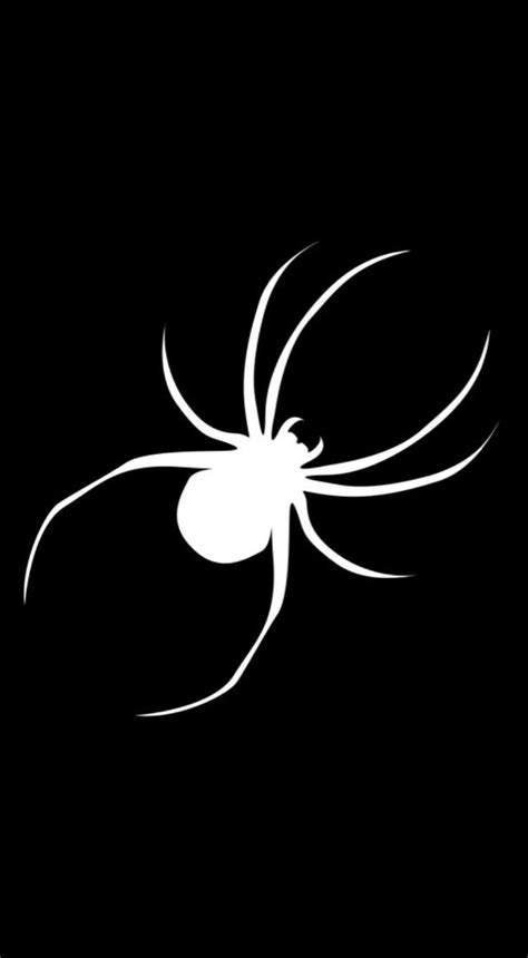 a white spider on a black background