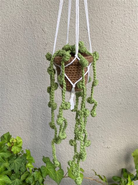 Crochet Hanging Plant String Of Pearls Plant With Macrame Etsy