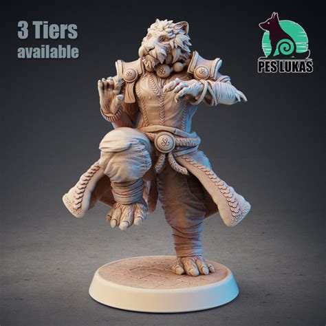 D Printable Monk Tabaxi By Pes Lukas