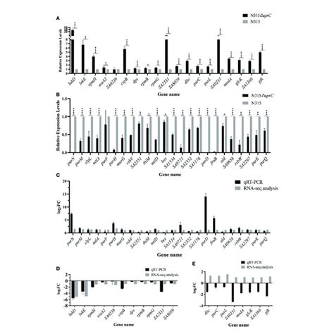 Qrt Pcr Analysis For Validation Of Expression Levels Of Degs With