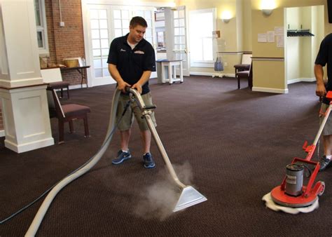 The Importance Of Carpet Cleaning For Allergy Sufferers Best Way